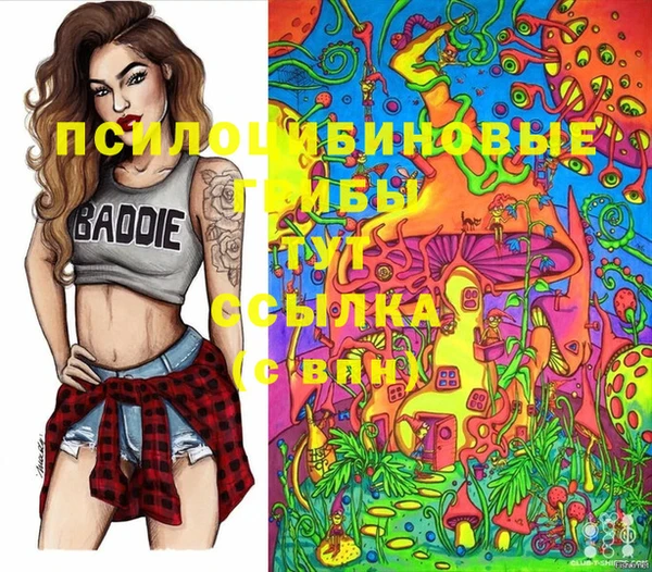 apvp Бугульма